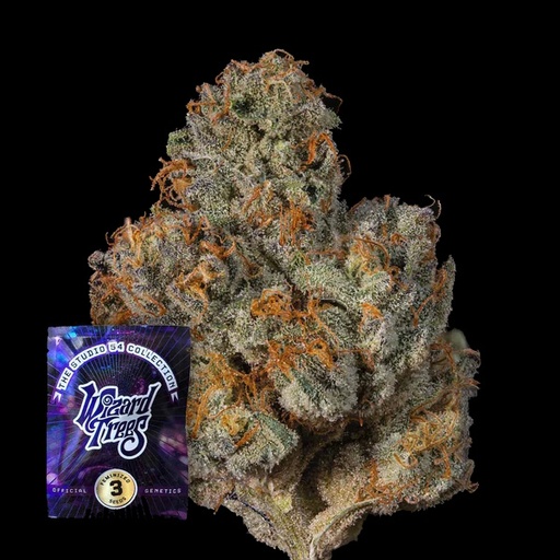 Wizard Trees BIG Z Fem 3St.