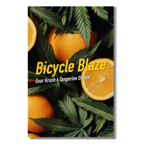 Dope Seeds Bicycle Blaze 6 Samen