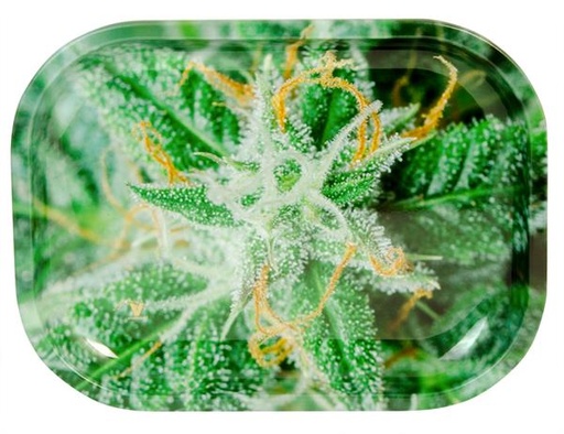 V-Syndicate - Rolling Tray - Strains AK47- Mini